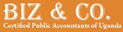 Biz & Co Logo
